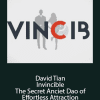 David Tian – Invincible Hd