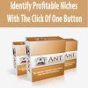 Identify Profitable Niches With The Click Of One Button