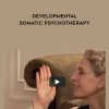 Ruella Frank Developmental Somatic Psychotherapy