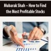 Mubarak Shah – How to Find the Most Profitable Stocks