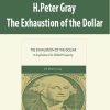 H.Peter Gray – The Exhaustion of the Dollar