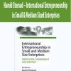 Hamid Etemad – International Entrepreneurship in Small & Medium Sized Enterprises