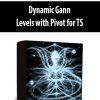 Dynamic Gann Levels with Pivot for TS