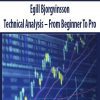 Egill Bjorgvinsson – Technical Analysis – From Beginner To Pro