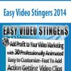 Easy Video Stingers 2014