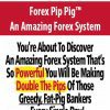 Forex Pip Pig™ – An Amazing Forex System