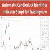 Automatic Candlestick Identifier Indicator Script for Tradingview