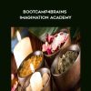 Bootcamp4Brains / Imagination Academy - Don Tolman