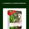 [Download Now] A Flower's Power: A Course In Flower Essences