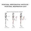 [Download Now] Postural Restoration Institute - Postural Respiration 2017