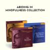 Joseph Goldstein – ABIDING IN MINDFULNESS COLLECTION