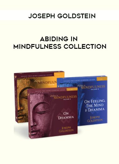 Joseph Goldstein – ABIDING IN MINDFULNESS COLLECTION