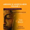 Joseph Goldstein – ABIDING IN MINDFULNESS VOLUME 1