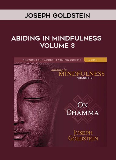 Joseph Goldstein – ABIDING IN MINDFULNESS VOLUME 3