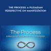 [Download Now] Wendy Kennedy - The Process A Pleiadian Perspective on Manifestation