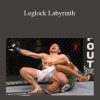 Dan Faggella - Leglock Labyrinth