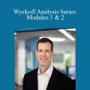 Todd Krueger - Wyckoff Analysis Series Modules 1 & 2