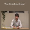 Yaron Seidman - Wuji Gong Inner Energy