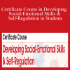 Carol Westby - Certificate Course in Developing Social-Emotional Skills & Self-Regulation in Students