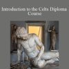 Centreofexcellence - Introduction to the Celts Diploma Course