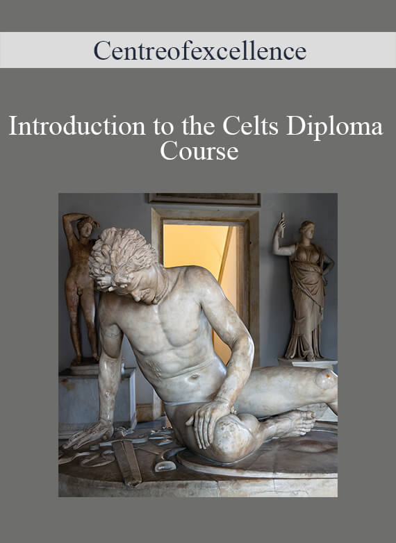 Centreofexcellence - Introduction to the Celts Diploma Course