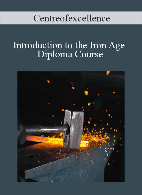 Centreofexcellence - Introduction to the Iron Age Diploma Course