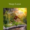 Hemi-Sync - Sleepy Locust