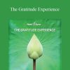 Hemi-Sync - The Gratitude Experience