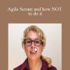 Kate N - Agile Scrum and how NOT to do it