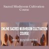 Oliver Merivee and Jasper Degenaars - Sacred Mushroom Cultivation Course