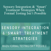 Susan B. Young - Sensory Integration & ‘Smart’ Treatment Strategies When Formal Testing Isn’t Possible