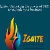 Ignite Unlocking the power of SEO to explode your business