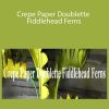 Amity Katharine Libby - Crepe Paper Doublette Fiddlehead Ferns