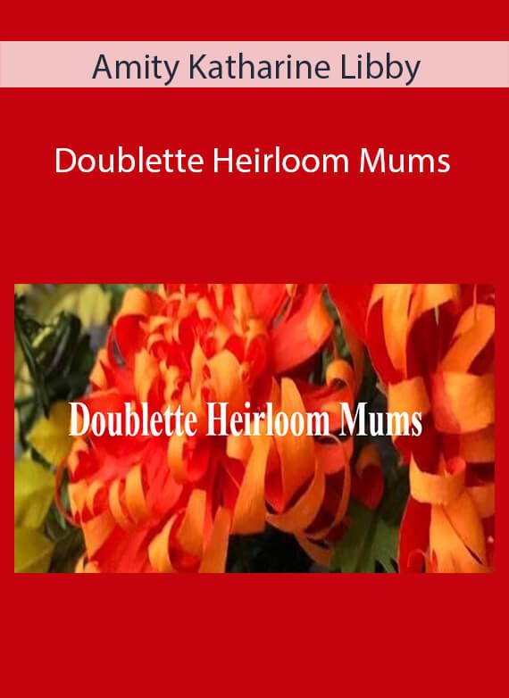 Amity Katharine Libby - Doublette Heirloom Mums