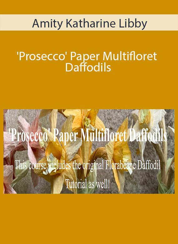 Amity Katharine Libby - 'Prosecco' Paper Multifloret Daffodils