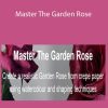 Catherine Oxley - Master The Garden Rose