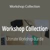 Erin Flynn - Workshop Collection