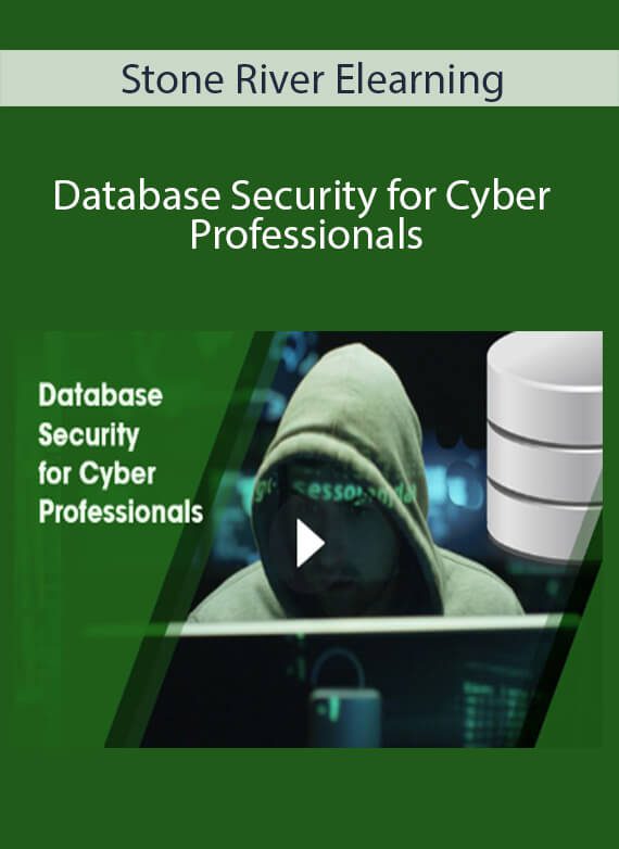 Stone River Elearning - Database Security for Cyber Professionals