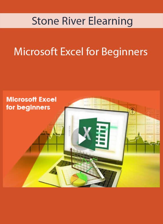 Stone River Elearning - Microsoft Excel for Beginners