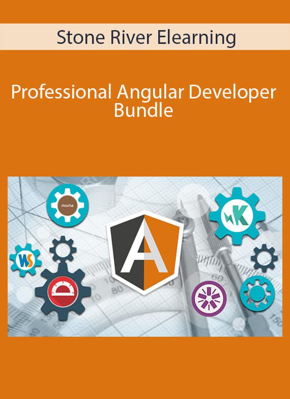 Stone River Elearning - Professional Angular Developer Bundle